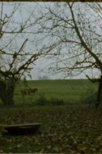 Poster for Landscape as Landscape - 22