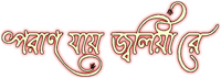 Logo 0