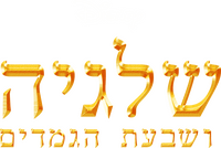 Logo 20