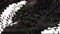 Backdrop 5