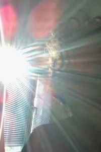 Profile of antonio dimovski