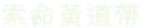 Logo 9