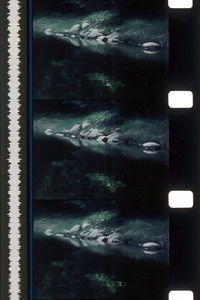 Rivers of Darkness / Rivers of Light