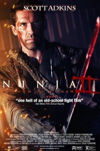 Poster 7