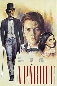 Poster 15