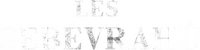 Logo 7