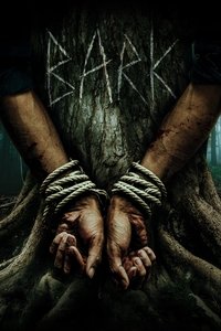 Poster 6
