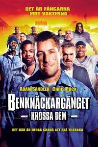 Poster 35