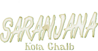 Logo 0