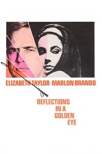 Poster 20