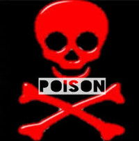 Ziggy's profile image