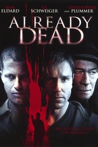 Poster 11
