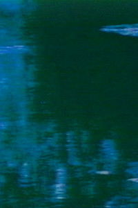 Monet Garden Synthesized