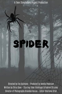 Poster for Spider