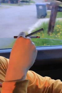 Poster for DOGSH*T95