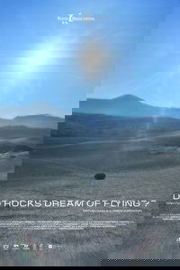 Do Rocks Dream of Flying ?