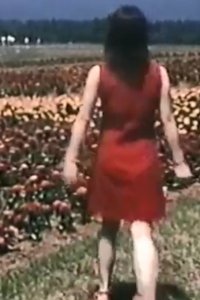 Poster for Alice in the Wilderness