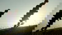 Backdrop 1