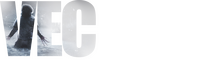 Logo 12