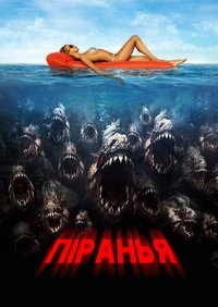 Poster 33