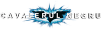 Logo 41