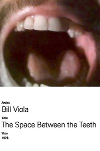 Poster for The Space Between the Teeth