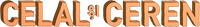 Logo 1