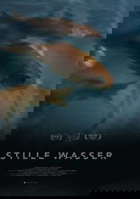 Poster for Silent Waters