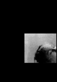 Poster for Little Movies. No. 5: Classical Cinema II