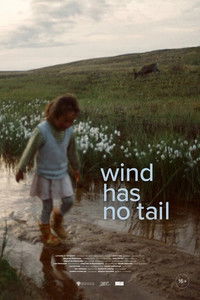 Poster for Wind Has No Tail