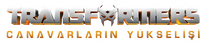 Logo 45