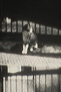 Poster for Cat Dream