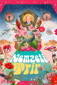 Poster for HalluciNation