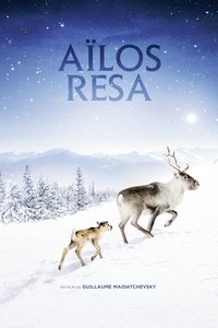 Poster 13