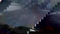 Backdrop 2