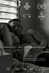 Sleeping on Warm Knees