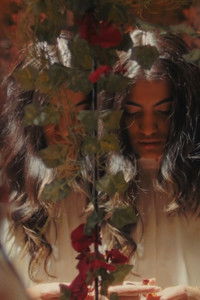 Poster for Little Bird