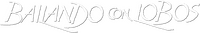 Logo 12