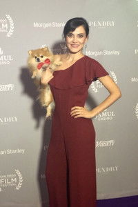 Profile of Stare Yildirim