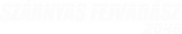 Logo 17