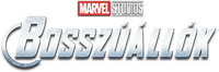 Logo 24