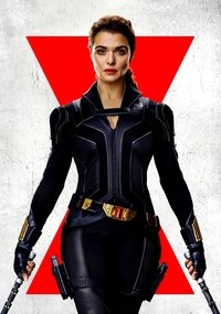 Poster 381