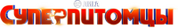 Logo 8