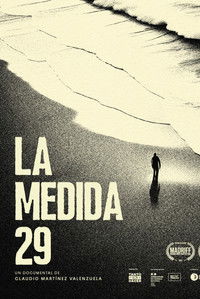 Poster for The 29 Law