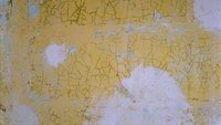 Backdrop 1