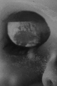 Poster for Consumed 5