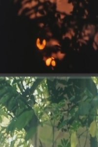 Poster for Whispering Light