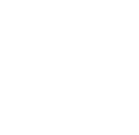 Logo 9