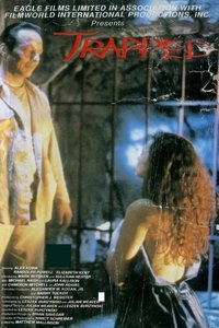 Poster 5