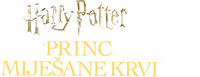 Logo 31
